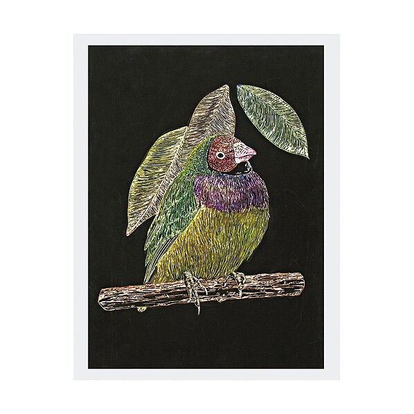 スクラッチボードEXスクレーパー 230×315×1.2mm 1