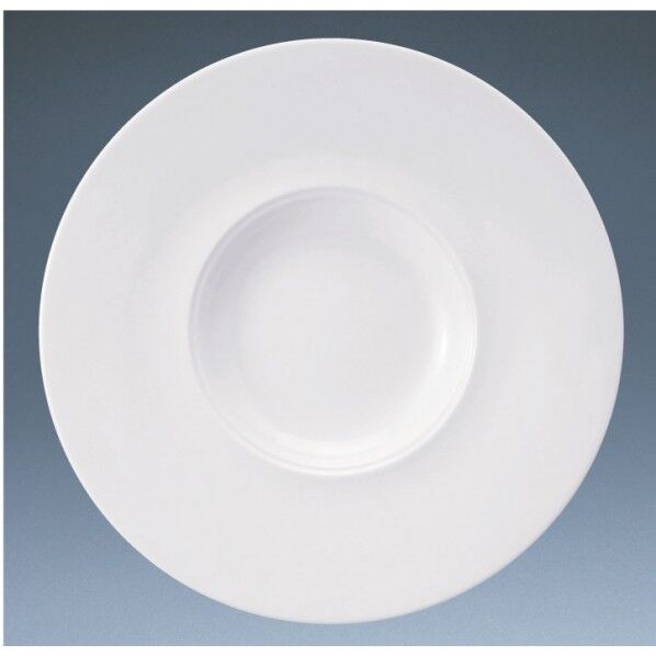 パティア27cmワイドリムステッププレート RPT4401 1個