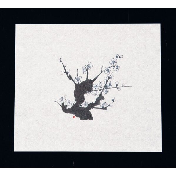 鮮度保持紙 白梅 QSV10 100枚