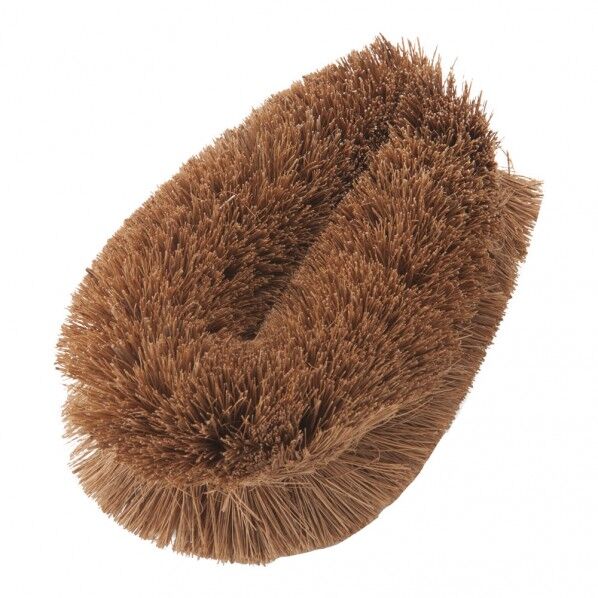 カモメタワシ 大 JTW08001 20個