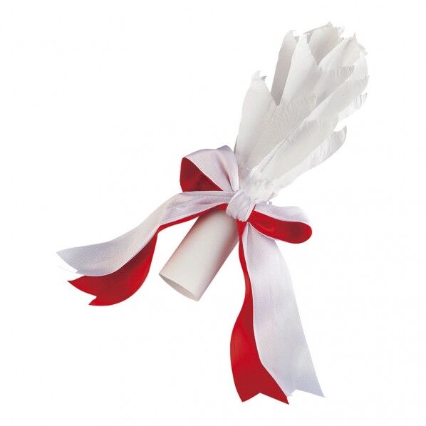 ハム花 リボン付 XHM03001 6本