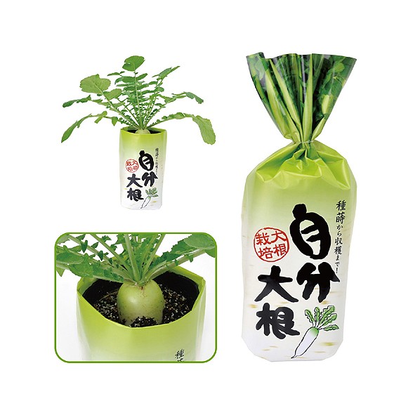 自分大根