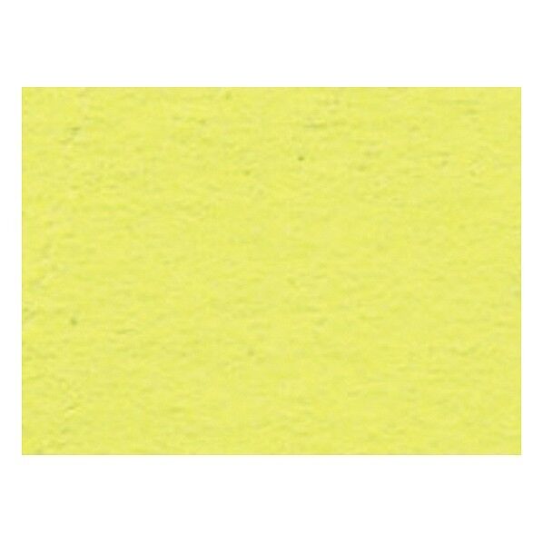 ニューカラー4切 10枚 2004 フラッシュレモン 392×544mm 15554 10枚