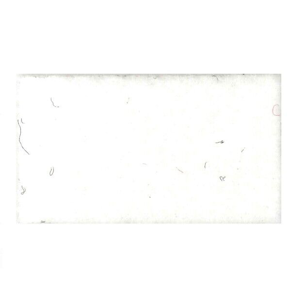 リックスペース(スタンダード) S-20 巾182cm×30m 1本