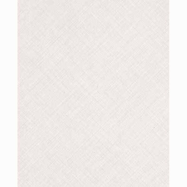 セラール 3x8 FAN 1719ZMN 2枚