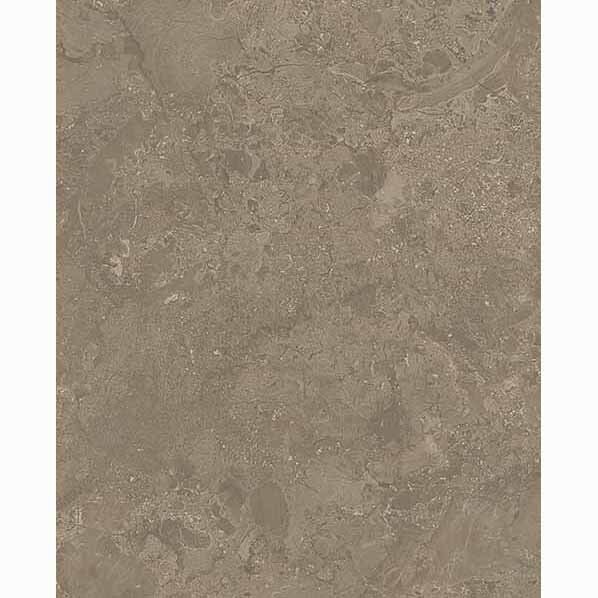 セラール 3x8 FAN 1729ZMN 2枚