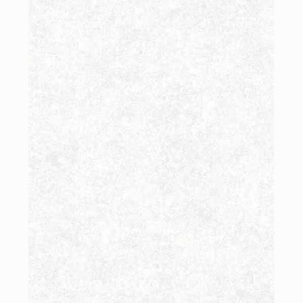 セラール 3x8 FAN 1873ZMN 2枚