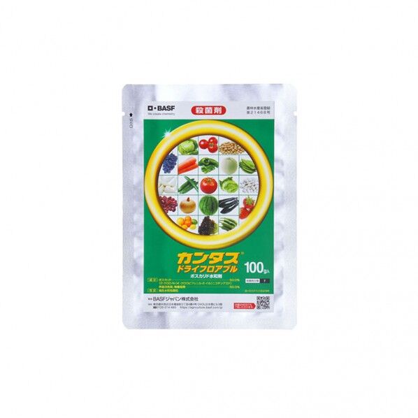 カンタスドライF 1点