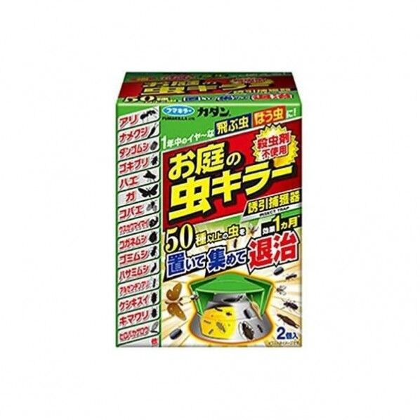 16個