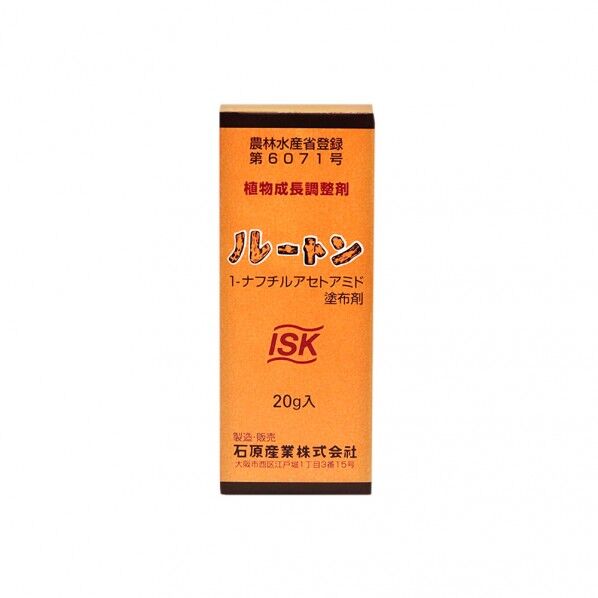 石原 ルートン 20g 1点