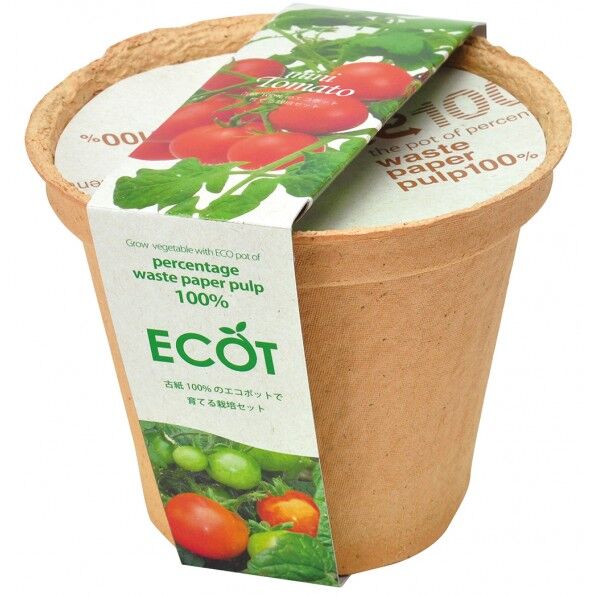 エコット栽培キット ミニトマト 1点