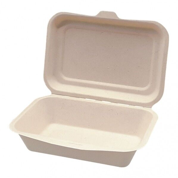 エコ容器 ムギ・タケ(50入) 未晒色 大 XMG0601 1個