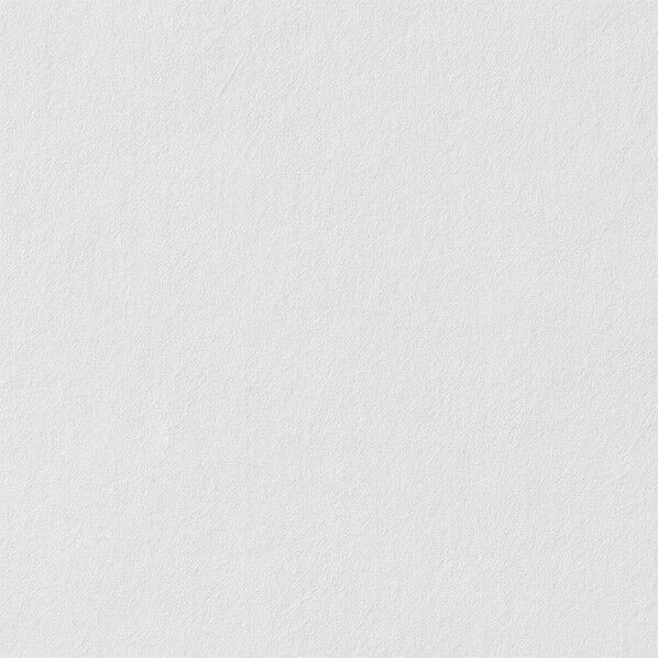 壁紙 ラウファーザー/寒冷紗 巾100cm×1m PW-11 1ロール