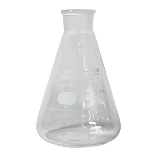 共栓 三角フラスコ 300ml 6-016-07 1個