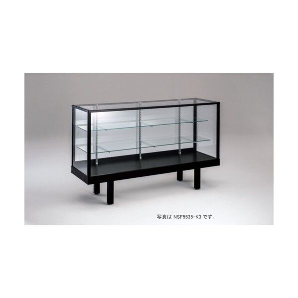 ショーケース NSF5415-K3 1点