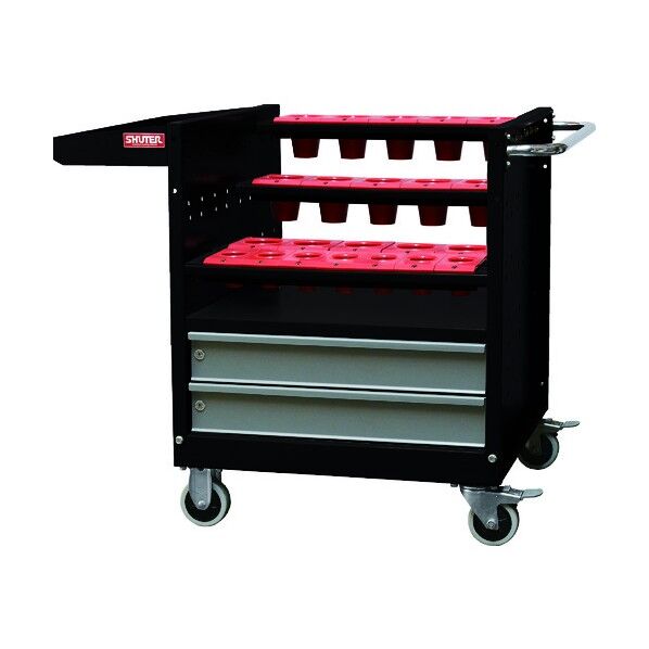 ツーリングワゴン NTW-4B2D-BT30 ブラック NTW-4B2D-BT30-BK 1点