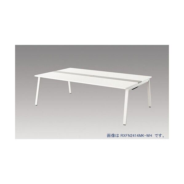 ナイキ 大型ベンチテーブル (基本型) (両面タイプ) RXFN1812K-WH 1点