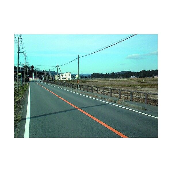 セイフテイパイプ チャイロ55 支柱間隔=1000 H=800 TP-8P2-10C 1点