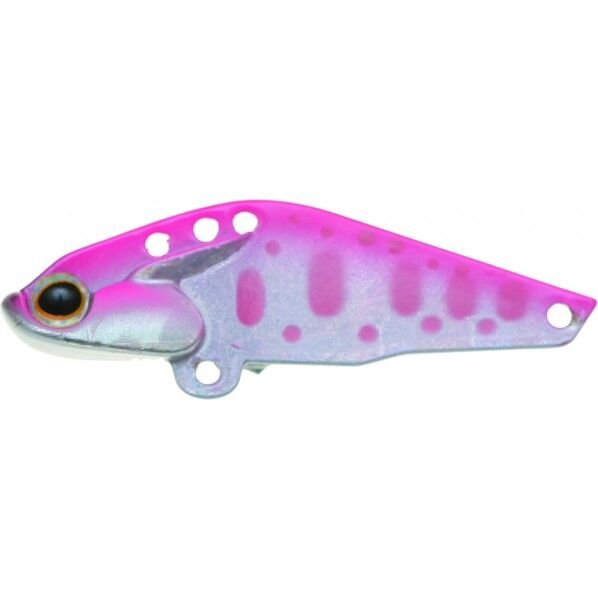 カイモ 6 MPY(ピンクバックヤマメ) 1個