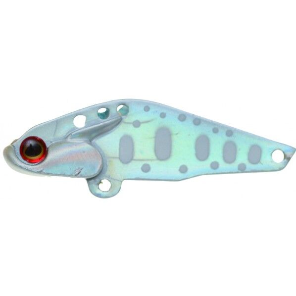 カイモ 6 CWY(ホワイトヤマメ) 1個