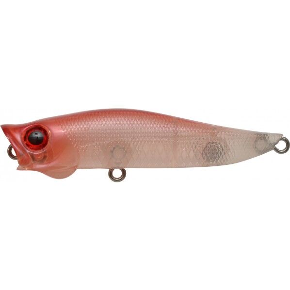 R.A_ポップ 70mm IKA イカ 1個