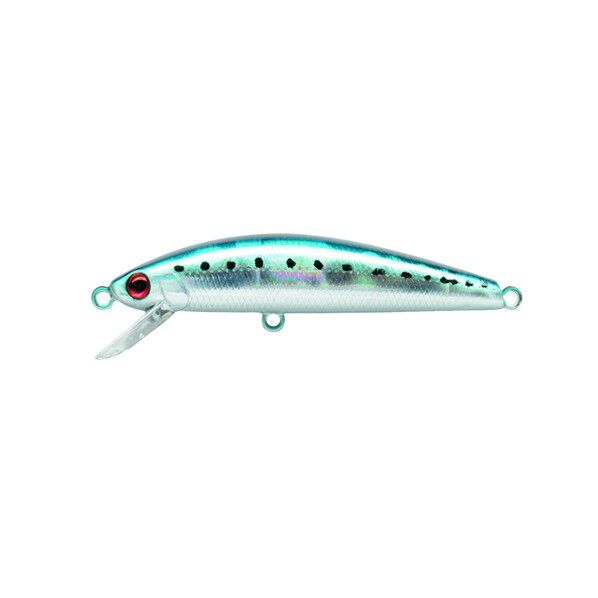 ピンテールチューン 6 LI イワシ 1個