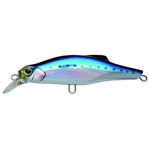 ピンテール 48 NIW イワシ 1個