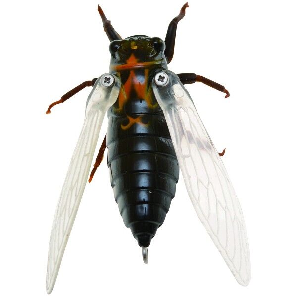 生蝉 _ EZZ(エゾゼミ) 1個