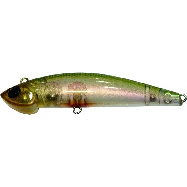 ボトムマジック 55GDMゴールデンモロコ 1個