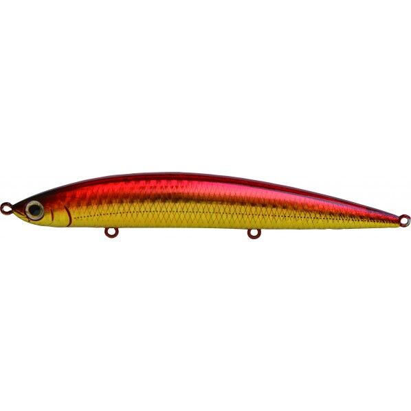 アスリート 14SSP WRD ダブルアカキン 1個