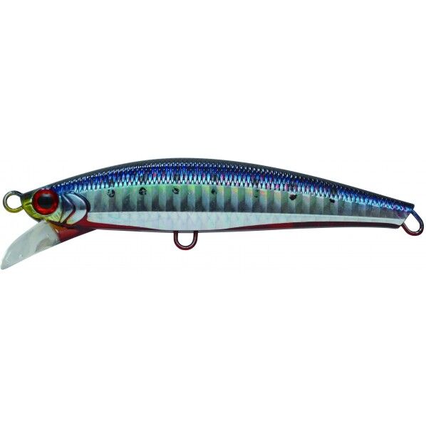 ピンテールサゴシチューン SRI アカハライワシ