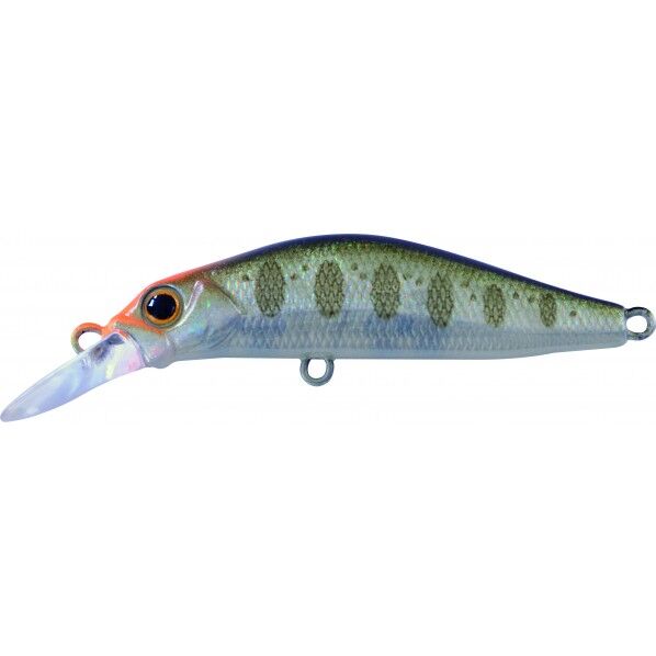 奏カナデ 40 GCY ゴーストクリアホロヤマメ 1個