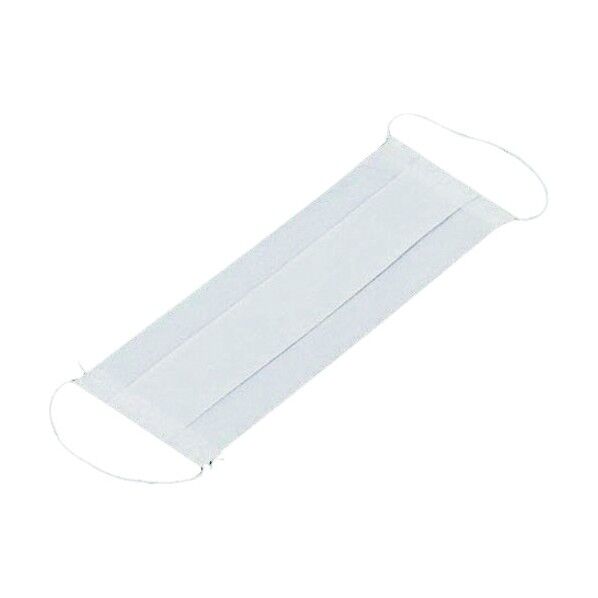 パル エコノミーフェイスマスク N49110C SMS1301 100枚