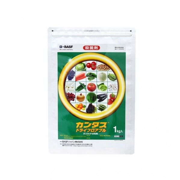 BASF カンタスドライ フロアブル 1個