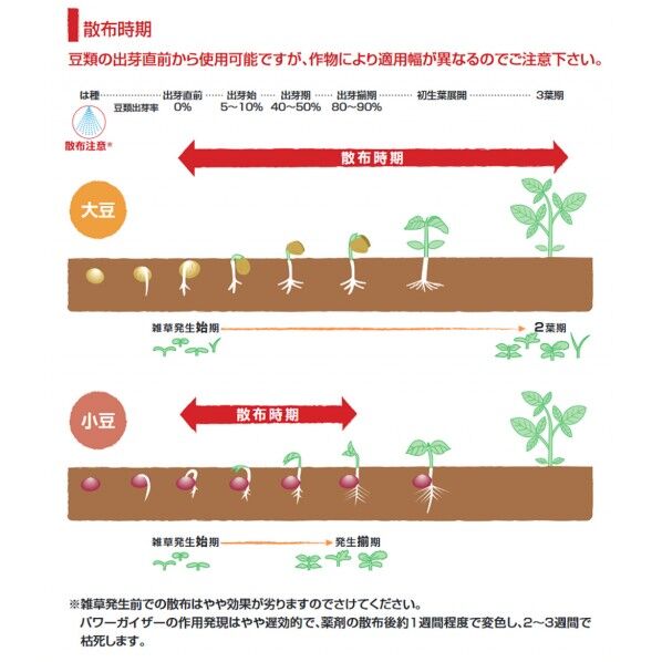 BASF パワーガイザー液剤 500ml 1個