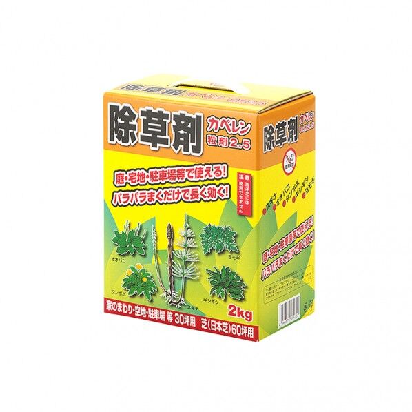 カペレン粒剤2.5 1個