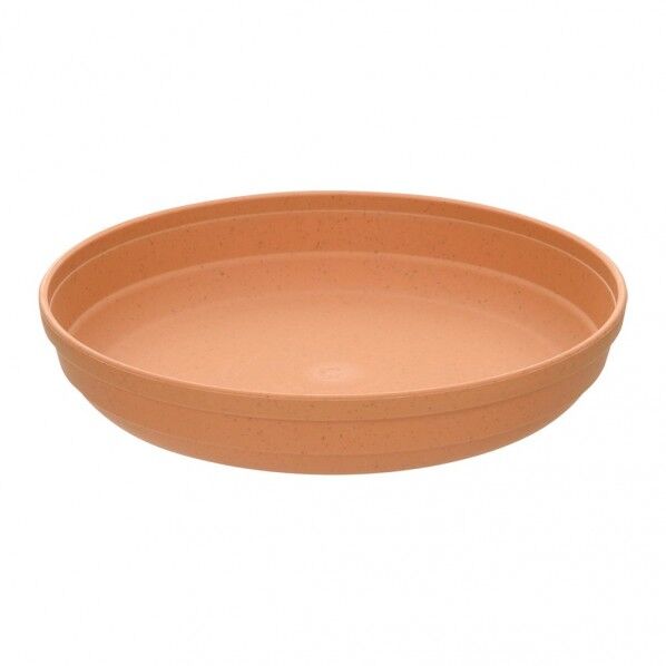 ひよっこ プレート 10号 BR 1個