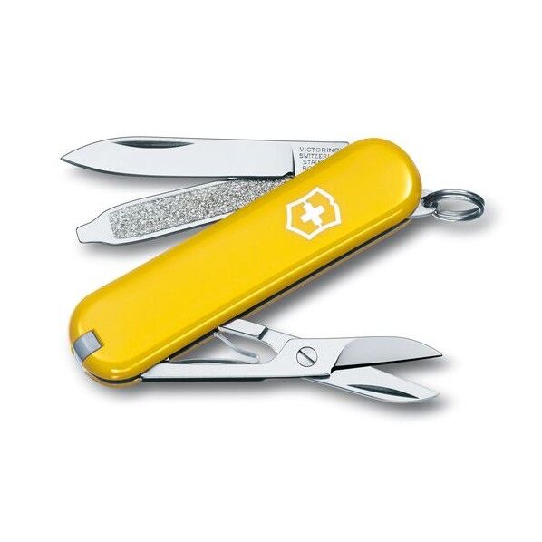 VTNX クラシックSD Sunny Side #0.6223.8B1 #0.6223.8B1 1個