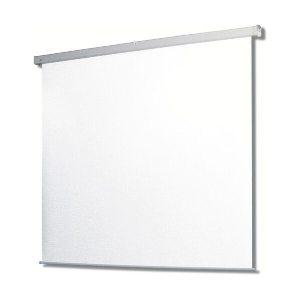 80型 電動巻上式マスク無しスクリーン SEC-080VN-R1-WG901 1点