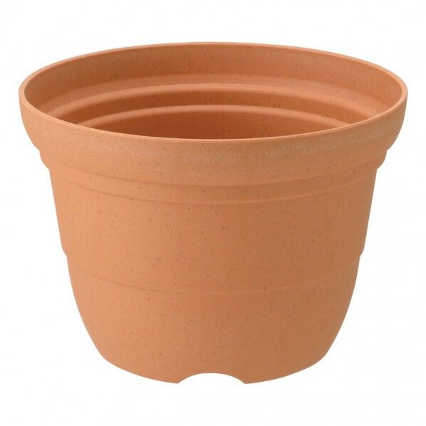 ひよっこ ポット 10号 BR 1個