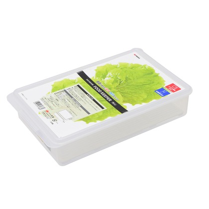 目皿付保存容器特大 (W)173×(H)60×(D)275mm 1