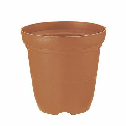 カラーバリエ 長鉢