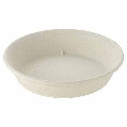 受け皿 ムール プレート10号 ホワイト 1