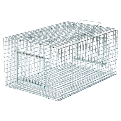 バードトラップ W420xH310xD610 E-01 1点