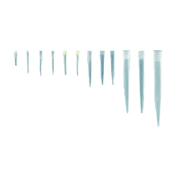 チップ 200-1000μL 青 #957 198-12-26-10 1000本
