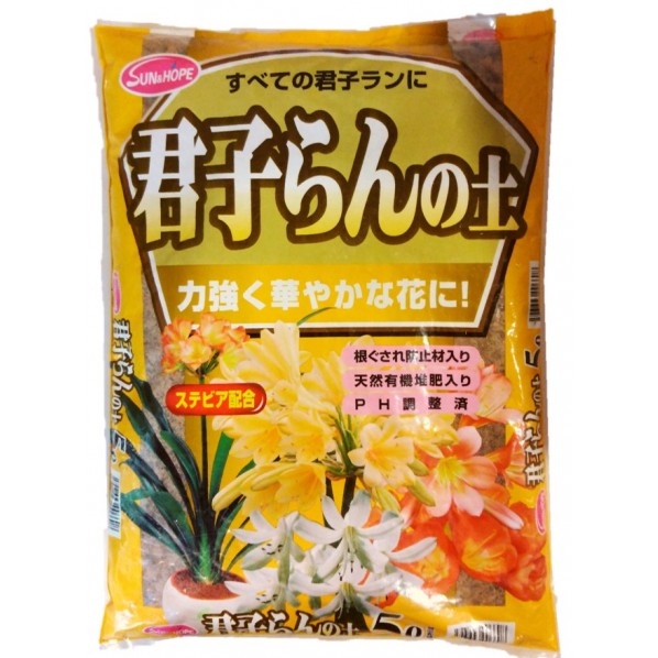 1個