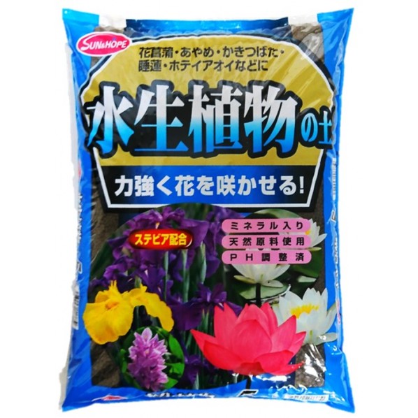 1個