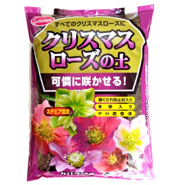1個