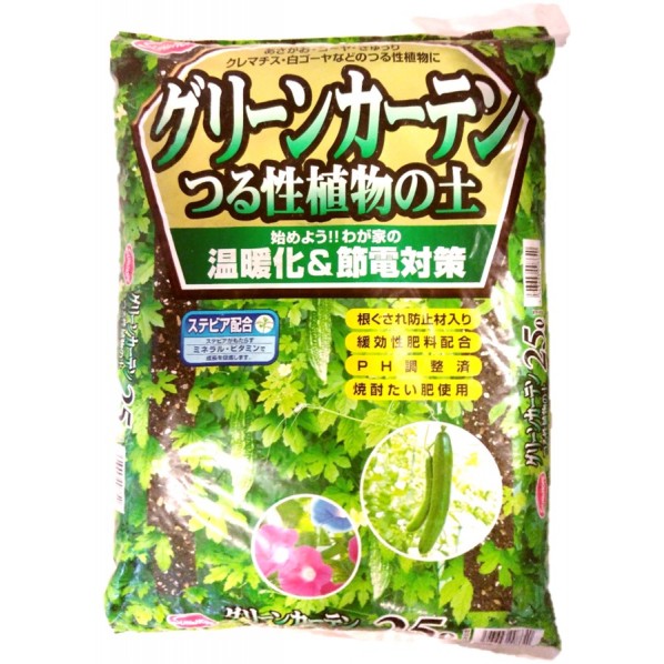 グリーンカーテンつる性植物の土ステビ