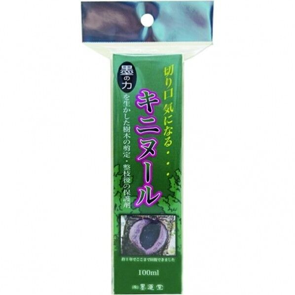 キニヌール 便利グッズ（文具・OA機器） 1個